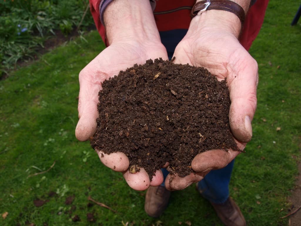 Mâini cu compost bogat — materie organică pentru sol