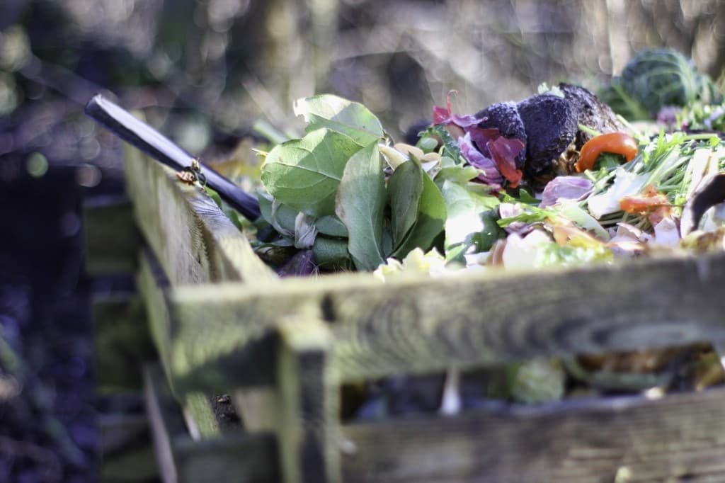 Deșeul ca resursă — compost și materie organică