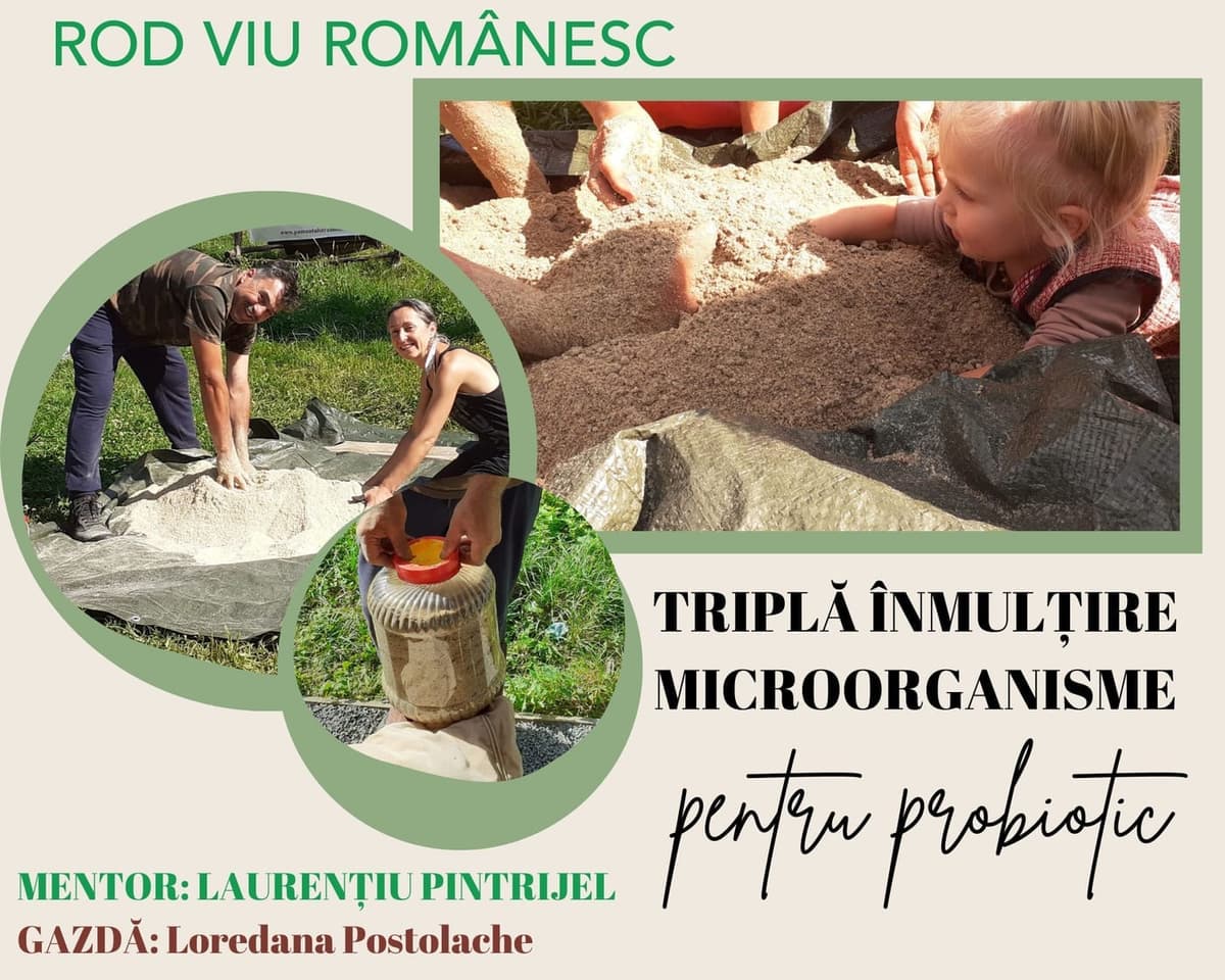 Atelier probiotic RVR